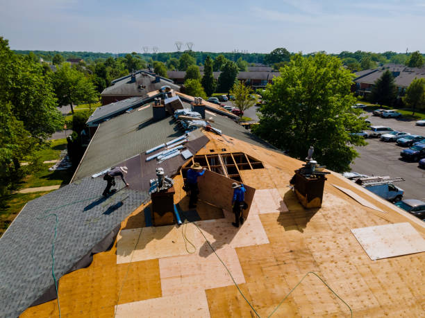24/7 Emergency Storm Damage Roof Repair experts in Hodge, LA